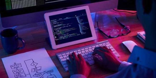programador de página web