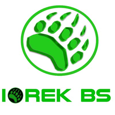 iorek bs logo