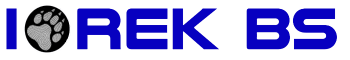 Iorek bs te posicionamos en la web Logo