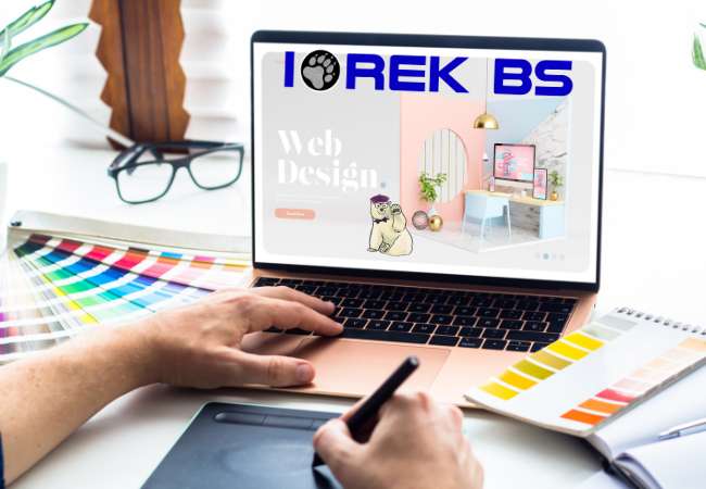 Diseñador web IOREK BS