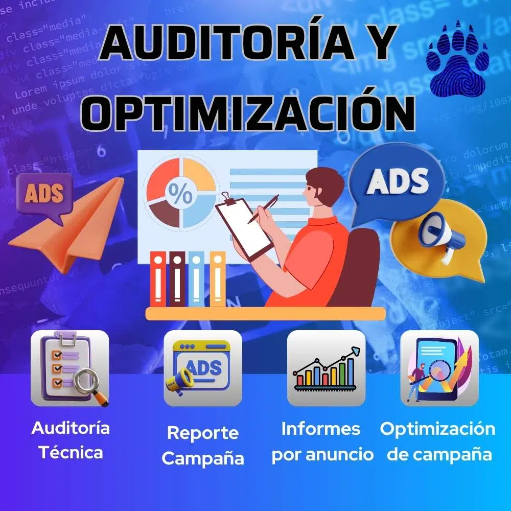 Auditoría y Optimización