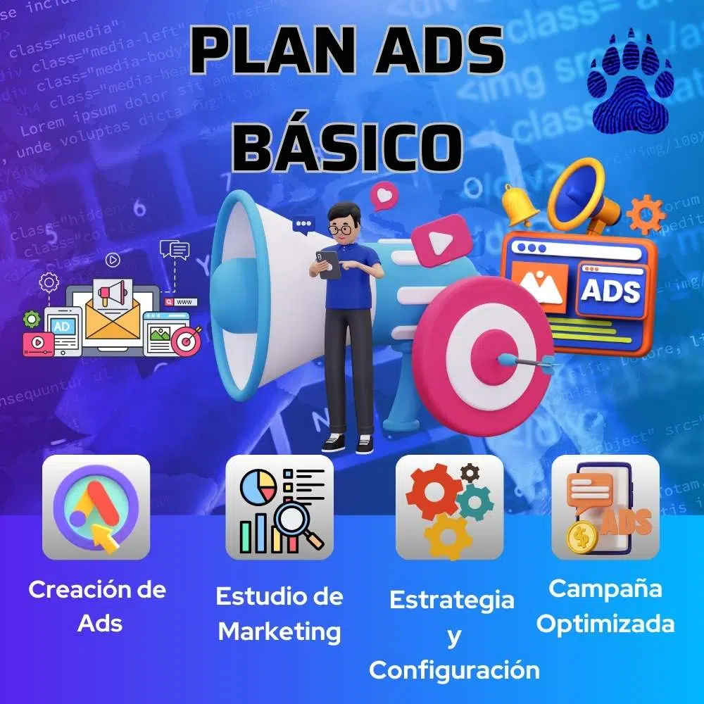 Google Ads Plan
